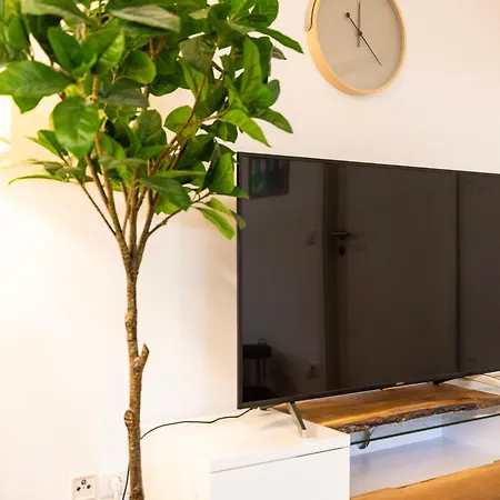 Staytime - Olive Nest Drezno