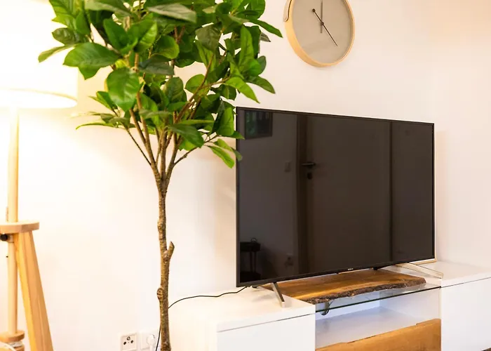 Staytime - Olive Nest Drezno